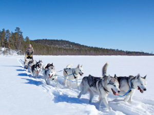 Aurora Boreale e Husky Safari
