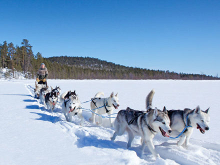 Aurora Boreale e Husky Safari