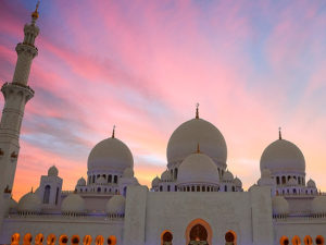 immagine per I Tesori degli Emirati Arabi