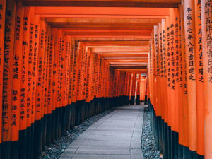 immagine per Tour indimenticabile Giappone