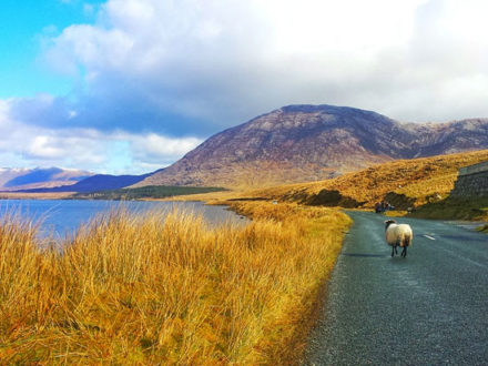 immagine per Tour Irlanda Ovest