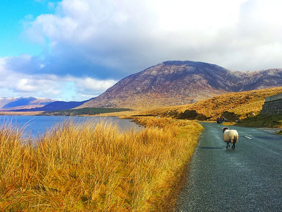 immagine per Tour Irlanda Ovest