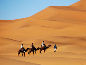 immagine per Tour Discovery Marocco