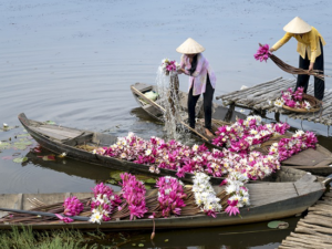 immagine per Tour Vietnam Express