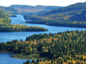 immagine per Tour le bellezze del Canada dell'Est