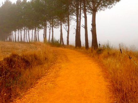 immagine per Portogallo e Santiago de Compostela