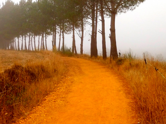 immagine per Portogallo e Santiago de Compostela