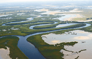 il delta del fiume Sine Saloum