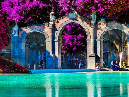 immagine per tour tenerife 2020