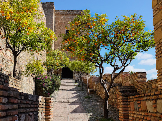 immagine per Andalusia, da aprile a ottobre