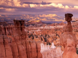 immagine per L'incanto dell'Ovest: Tour USA