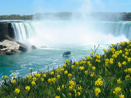 immagine per Le bellezze del Canada Est - Speciale Tour