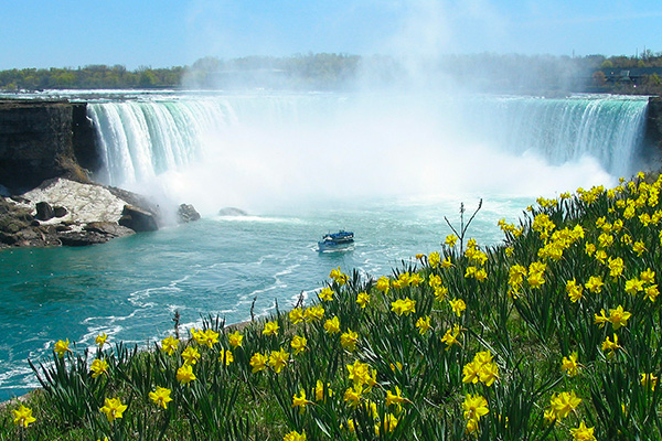 immagine per Le bellezze del Canada Est - Speciale Tour