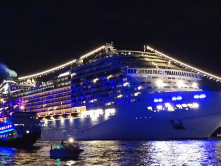 immagine per msc-preziosa-Natale