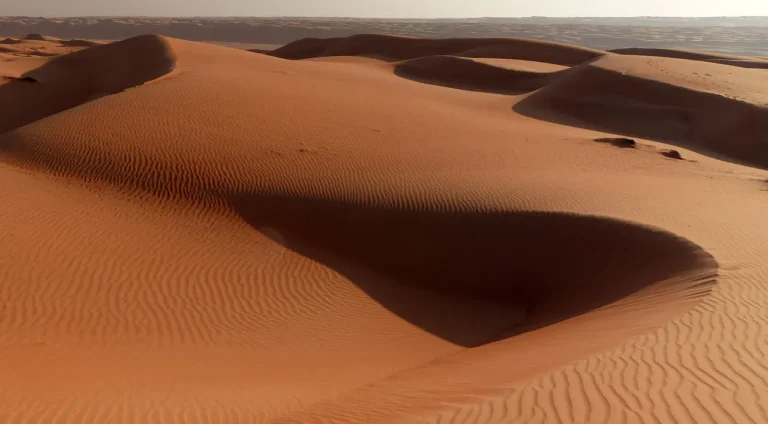 immagine per Alla scoperta dell’Oman