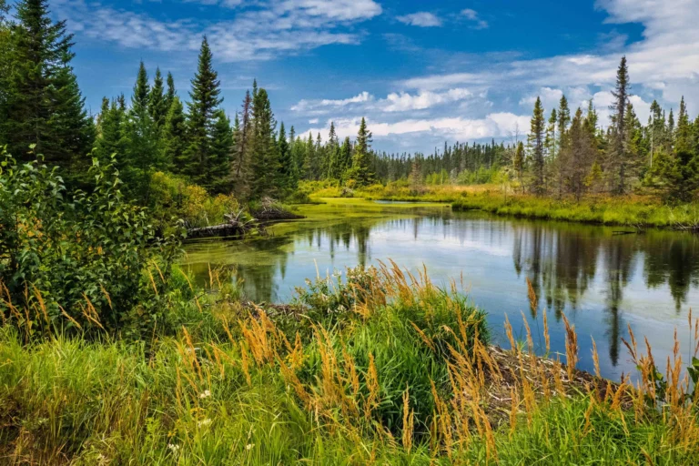 Immagine per Tour la bellezza del Canada Est