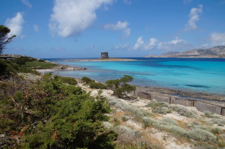 Immagine per In catamarano: Stintino e la Maddalena