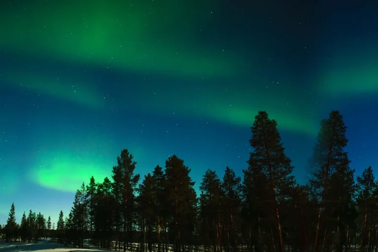 immagine per Rovaniemi: Aurora boreale & Igloo di vetro