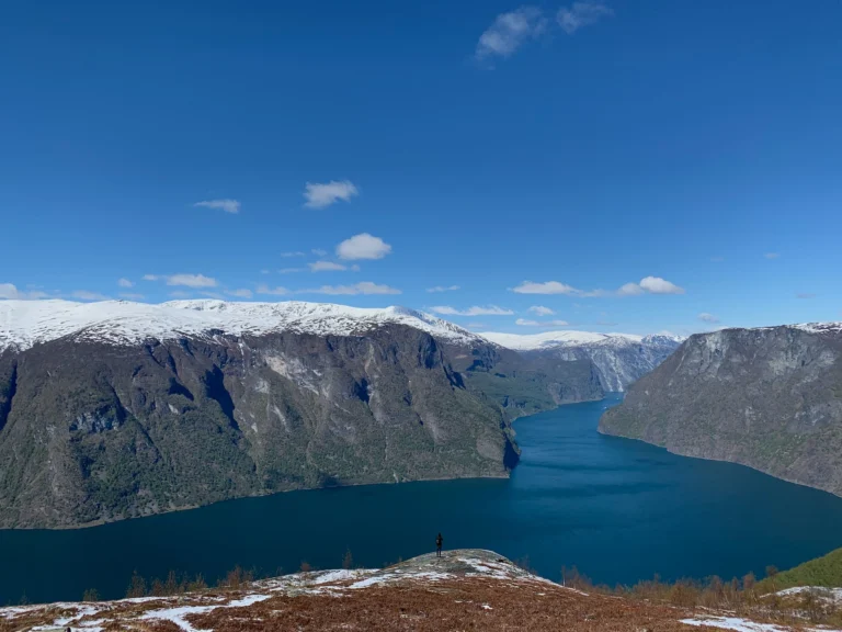 Immagine per Inverno tra i Fiordi Norvegesi