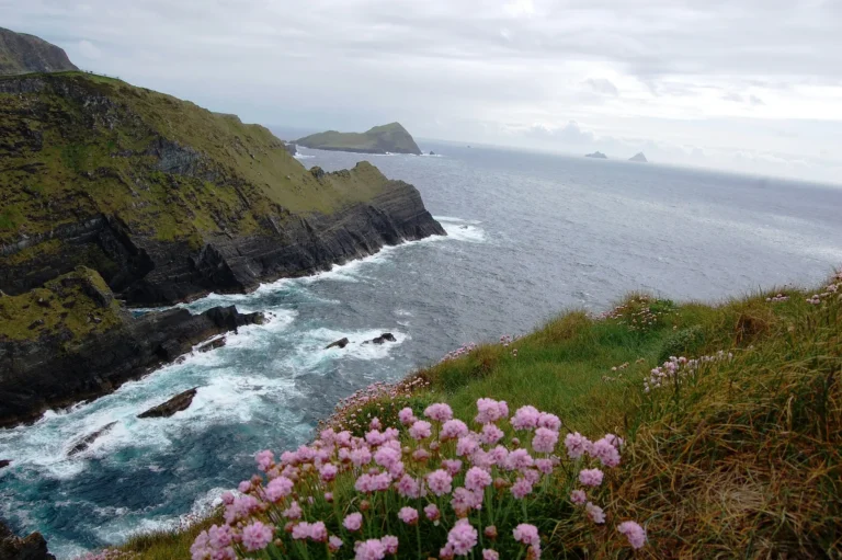 Immagine per Tour Ovest Irlanda